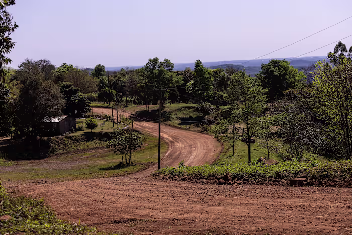 Rally Paraguay promotional image