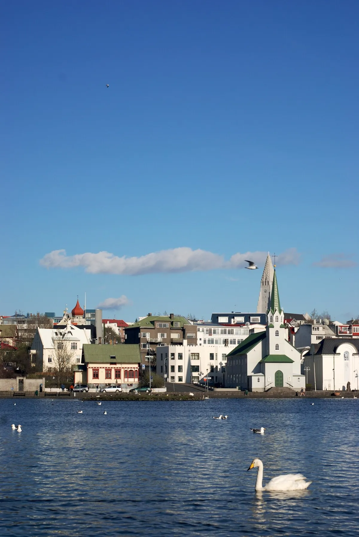 The Free Church in Reykjavik near the lake Tjörnin and only a block from our new home.