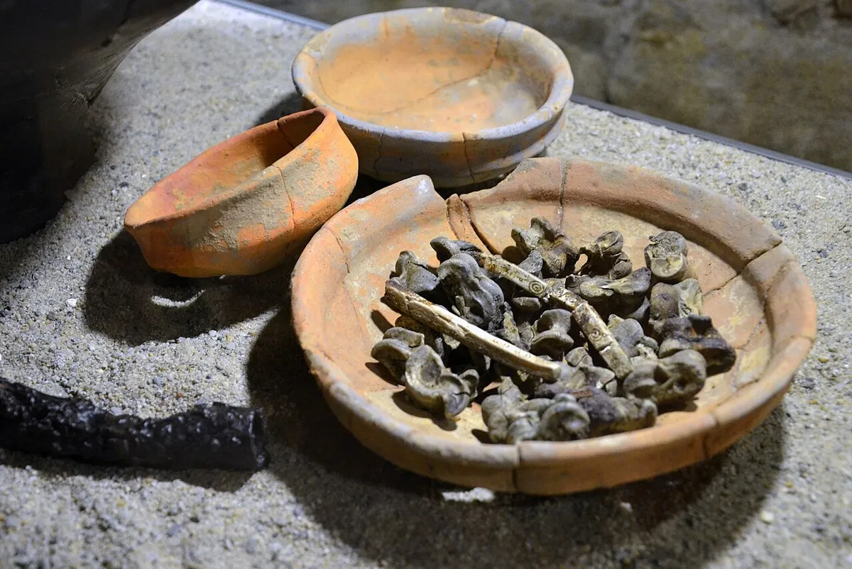Set of astragali (gaming pieces) from the Prusiek necropolis. A find from a cremation grave of a Przeworsk culture warrior (Sanok group), dating back to the Roman Influence Period (2nd–3rd century AD). A collection of approximately 100 animal talus bones (astragali) placed in a ceramic bowl, represe