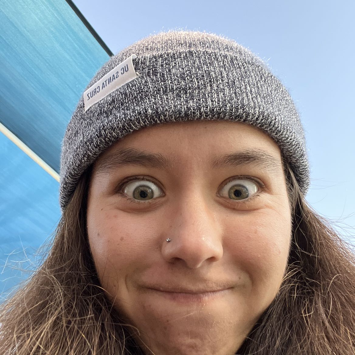 maya