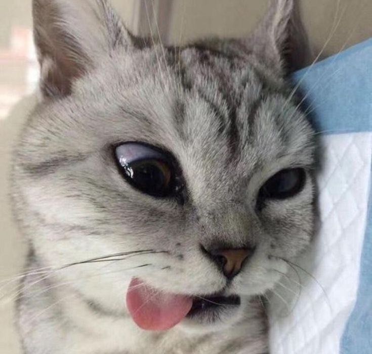 cl