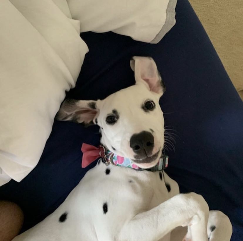 dani