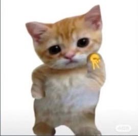 ko