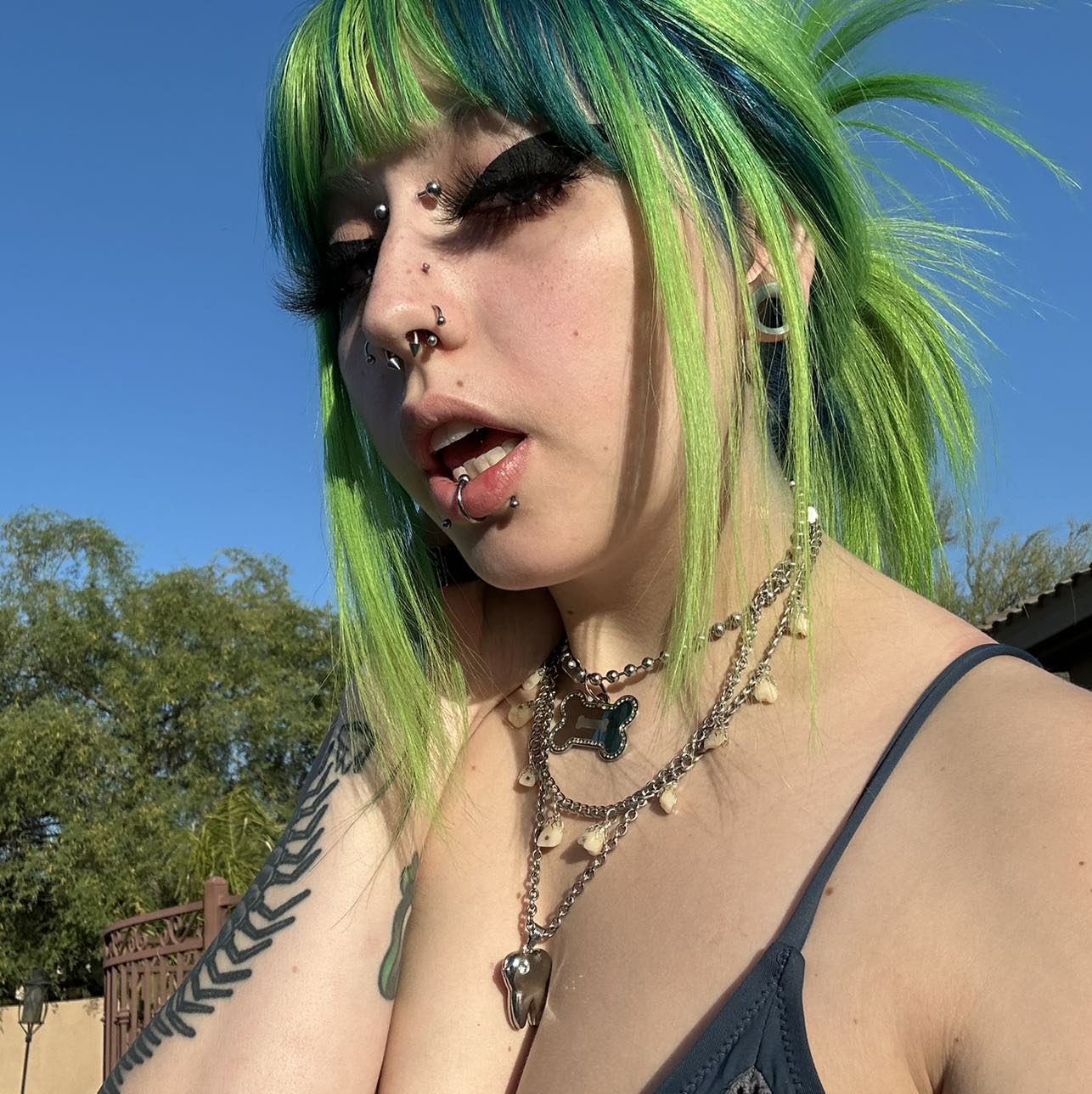 bunny
