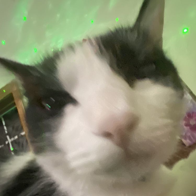 Sylv