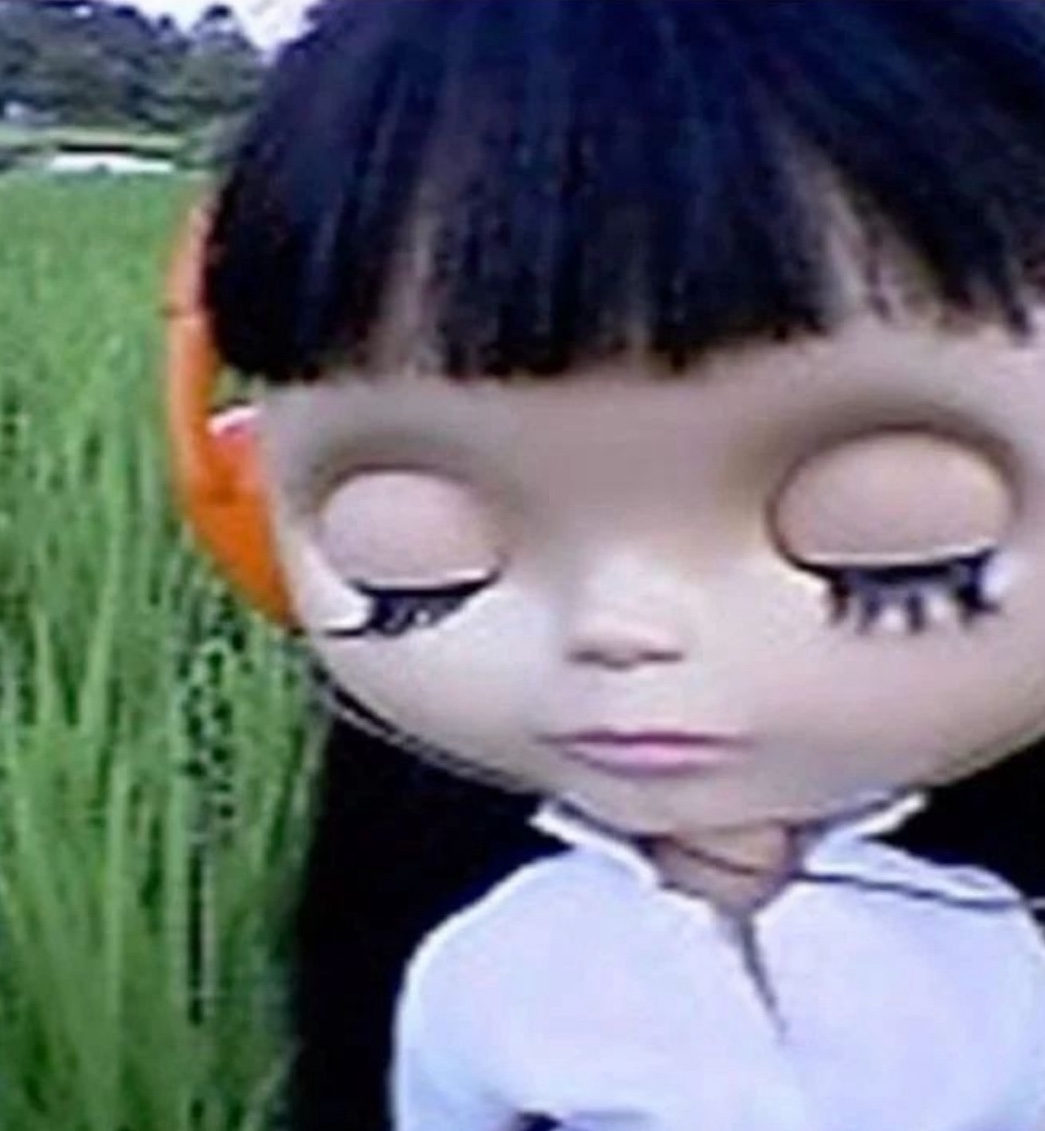 olivia . ݁₊ ⊹ . ݁˖ . ݁