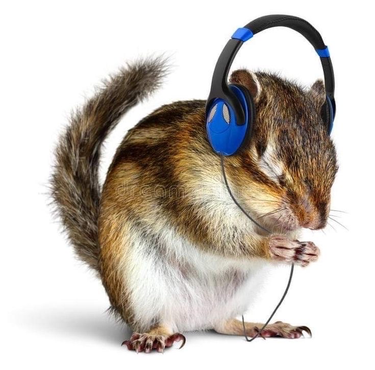 zuly .