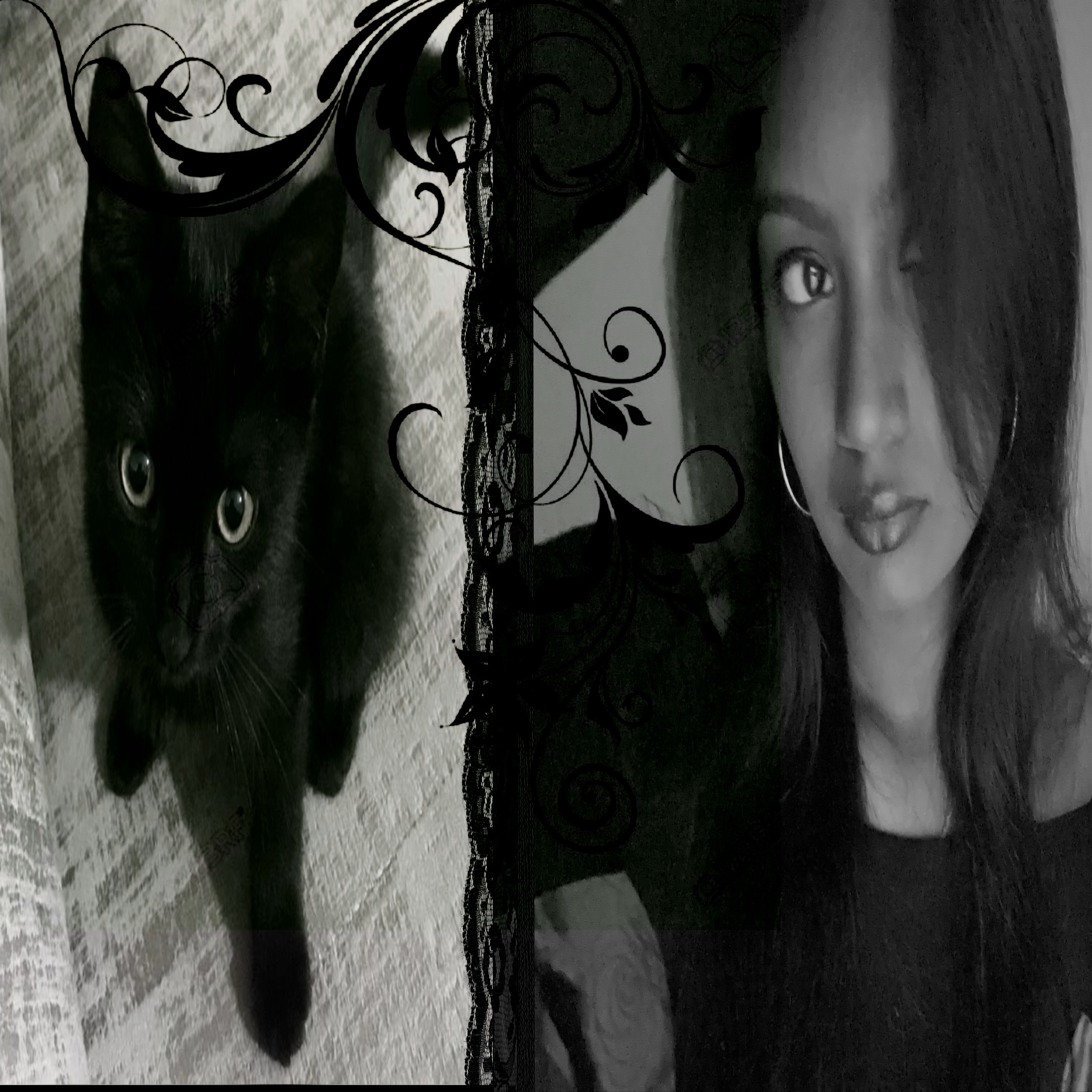 daksha