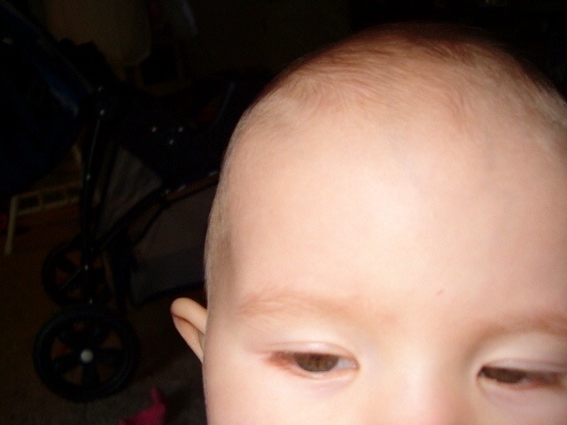 Baylee