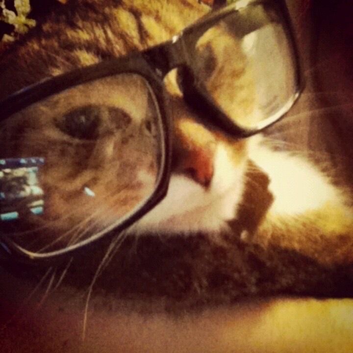 Harvey