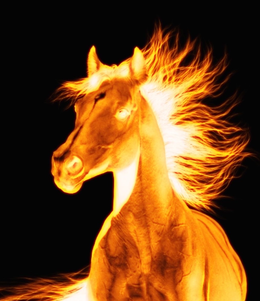 Stallion Mang