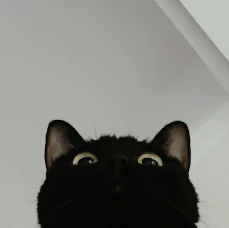 wai