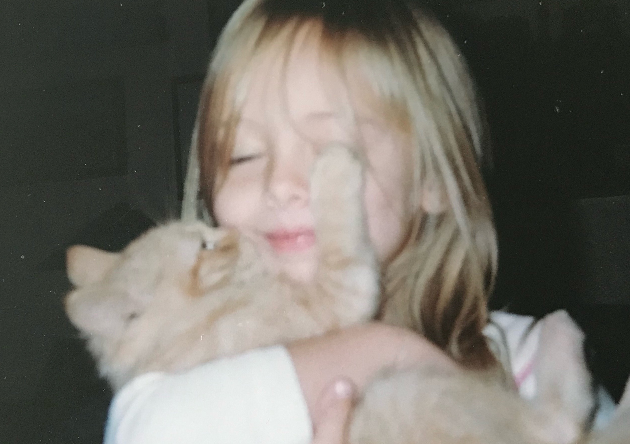 tommi