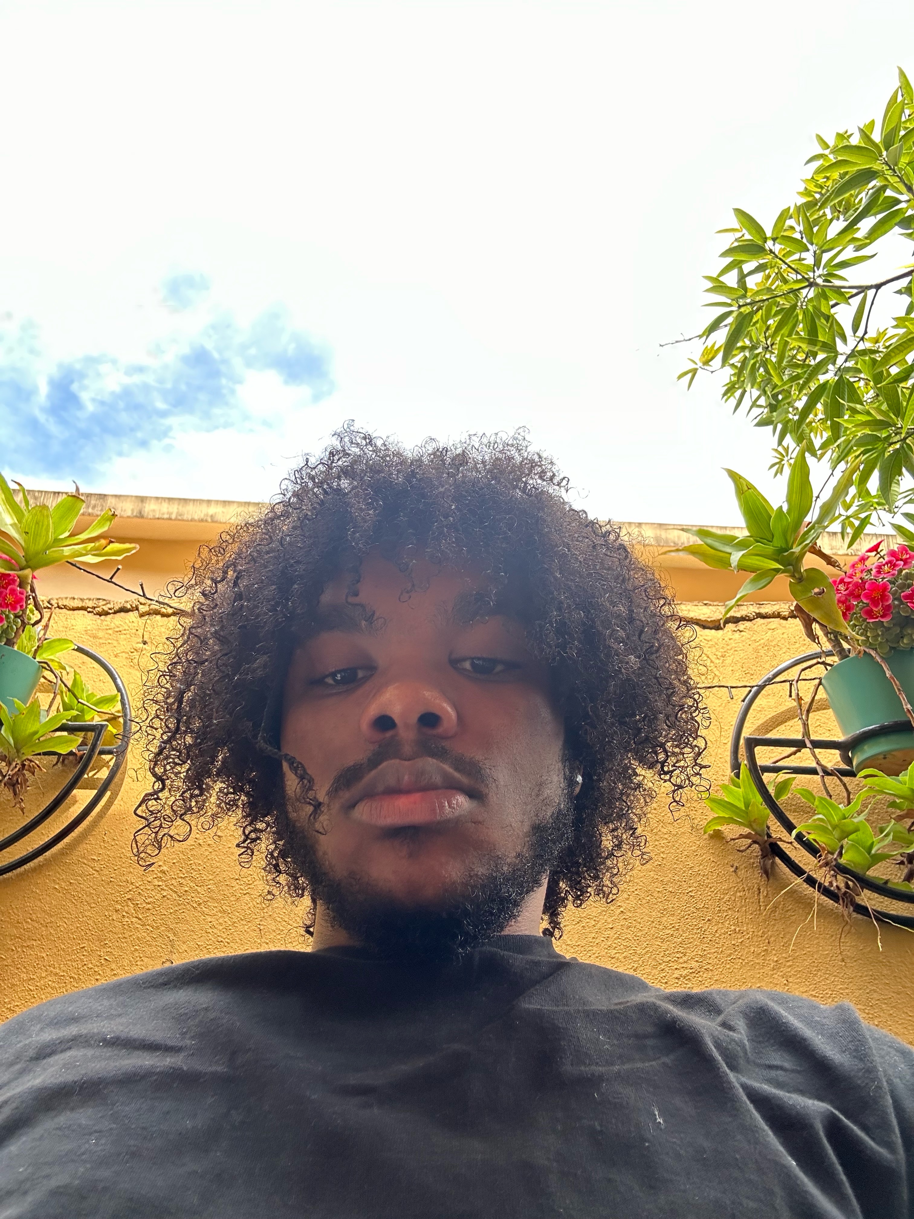 djavan