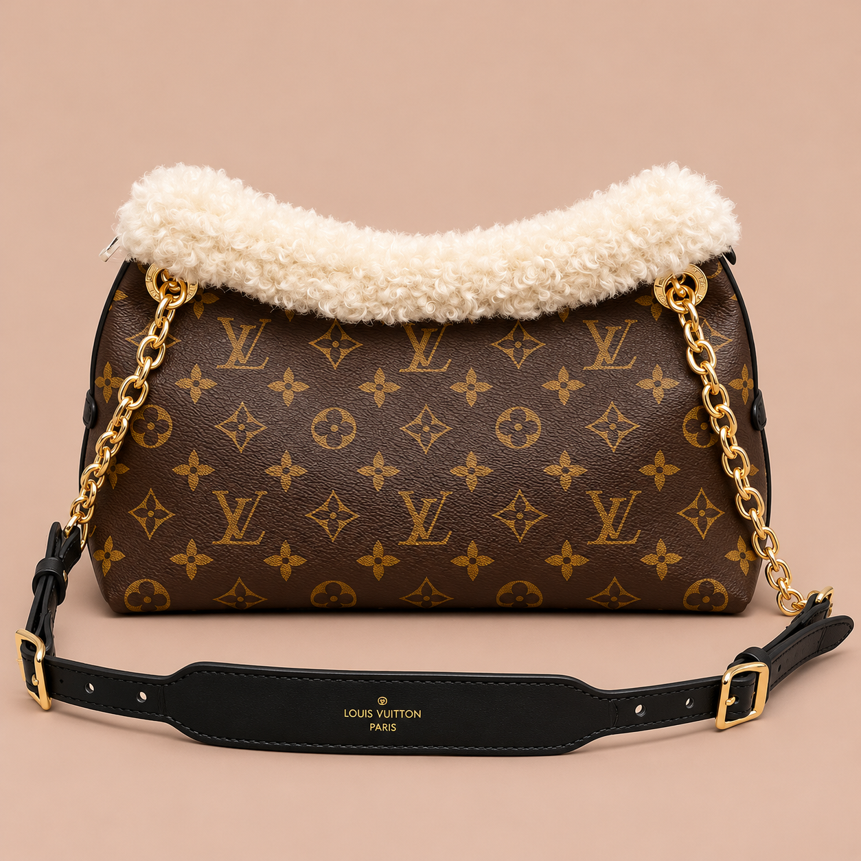 Louis vuitton carryall teddy