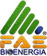 Faé Bioenergia