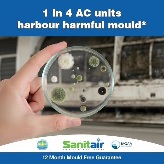 Mould in AirCons Sanitair