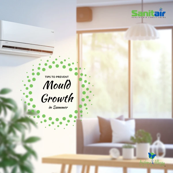 Increased Mould in Air Conditioners - Tips to Prevent Mould