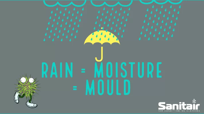 Wet Weather &#8211; How to Combat Mould