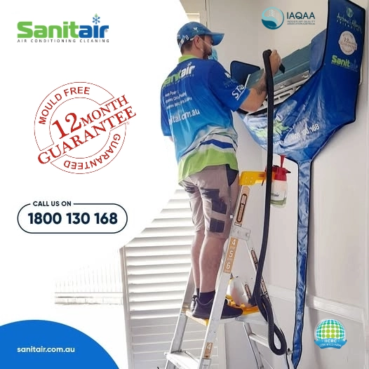 The Fogger Floggers Myth - Why the New Australian Mould Standard Discourages Fogging blog cover