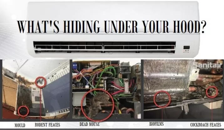 What&#8217;s Hiding Under Your Hood?