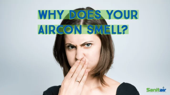 Why Does Your Air Conditioner Smell?