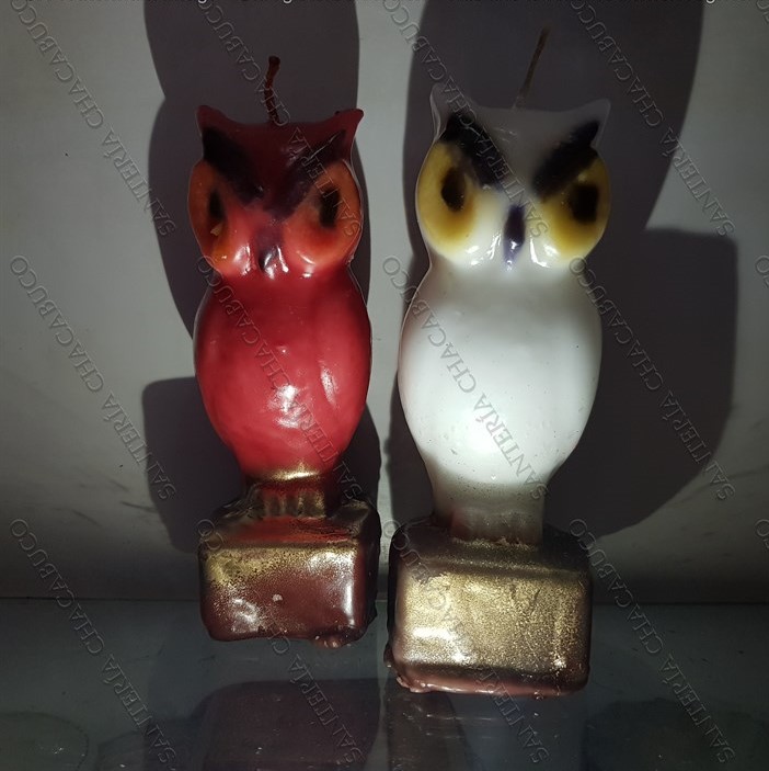 Búho