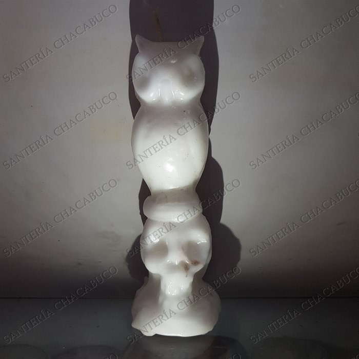 Búho con Calavera