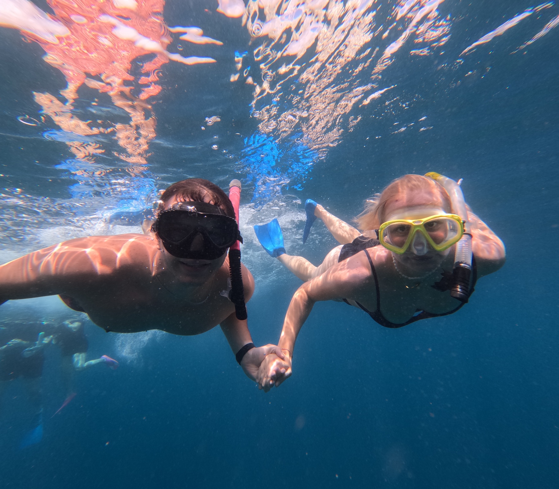 Lembongan Snorkeling Shared at Manta Point, Crystal Bay & Mangrove view 4
