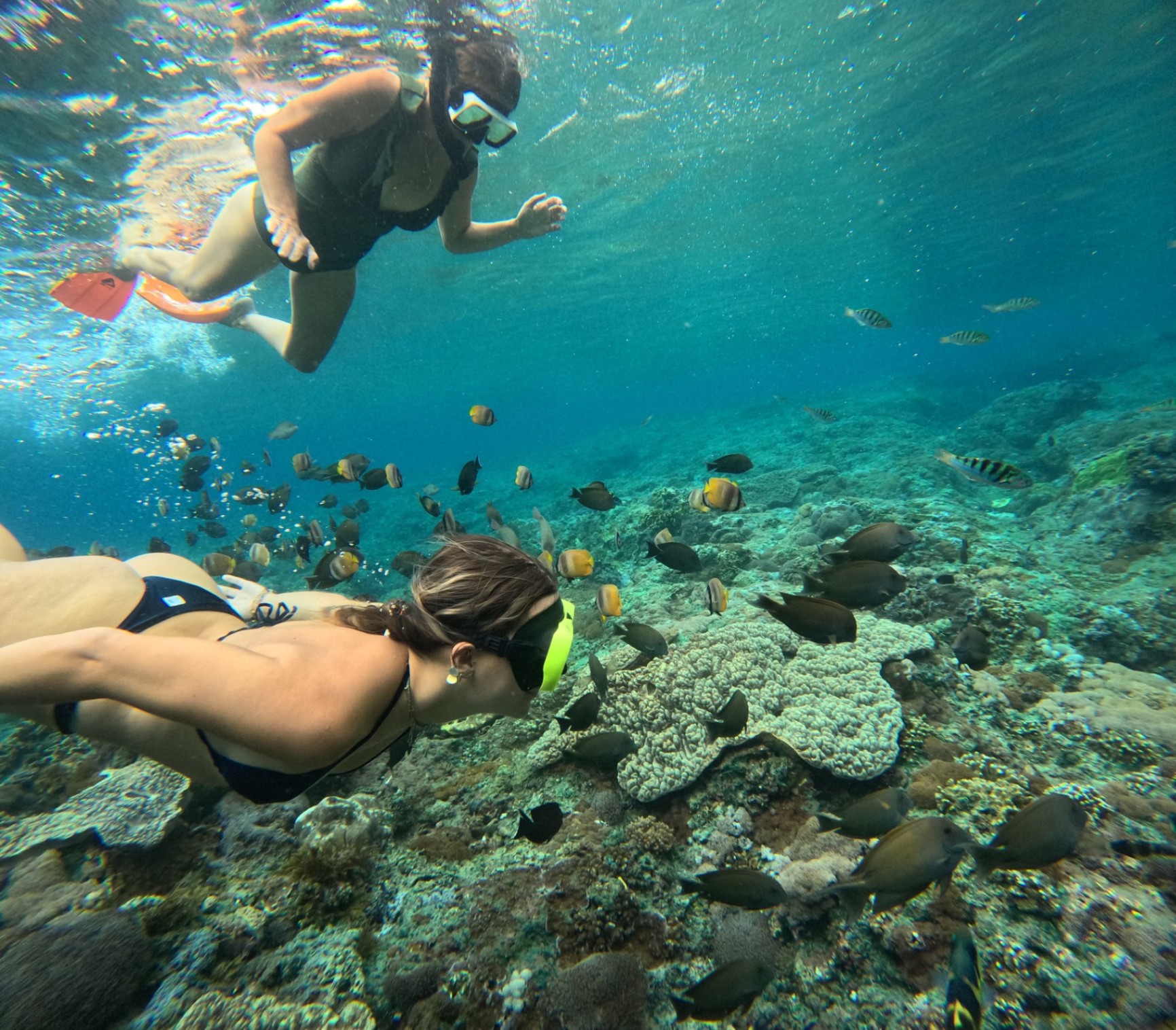 Nusa Penida Snorkeling Shared Trip at Manta Point, Gamat Bay, Wall Bay view 2