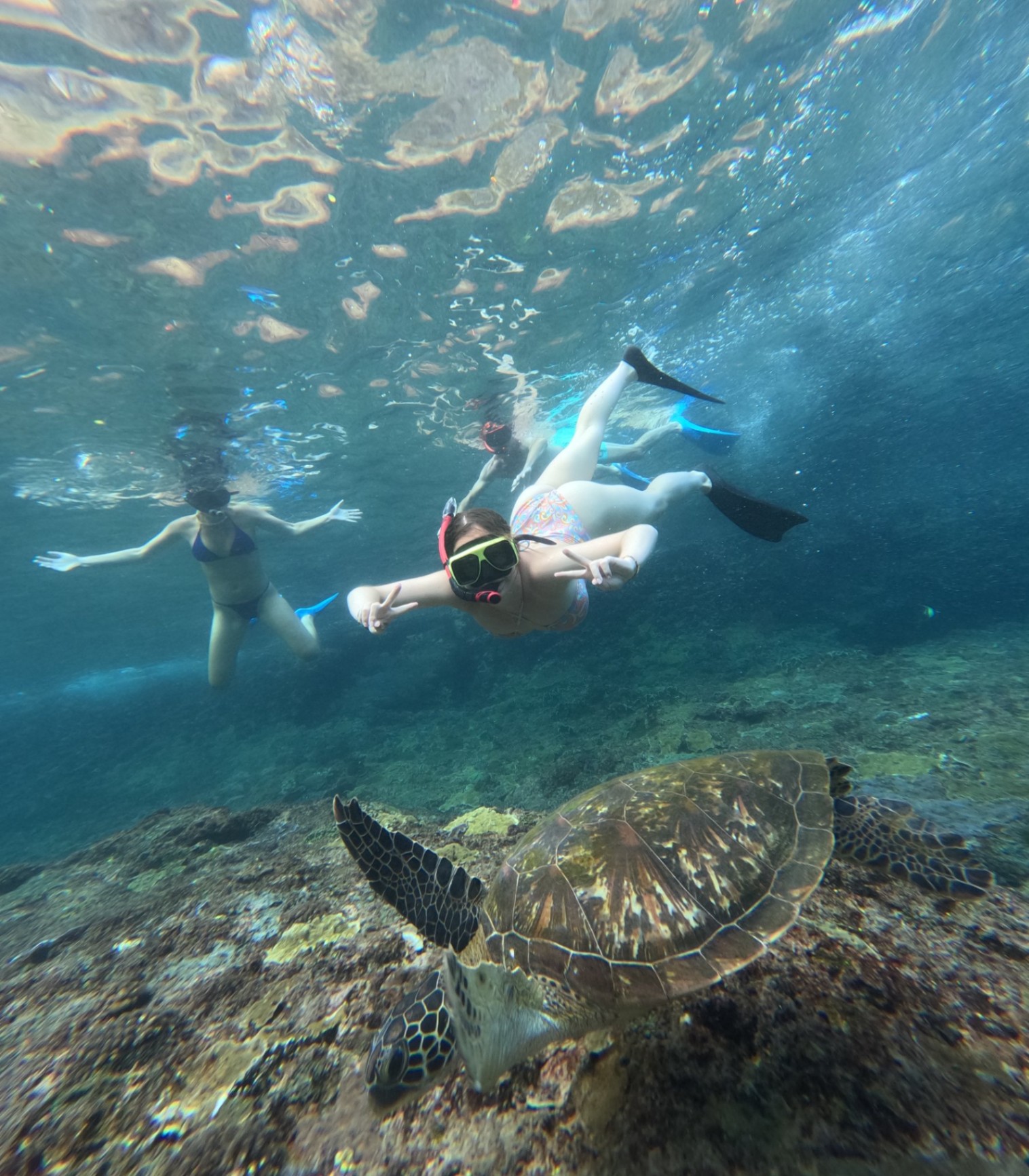 Nusa Penida Snorkeling Shared Trip at Manta Point, Gamat Bay, Wall Bay view 4