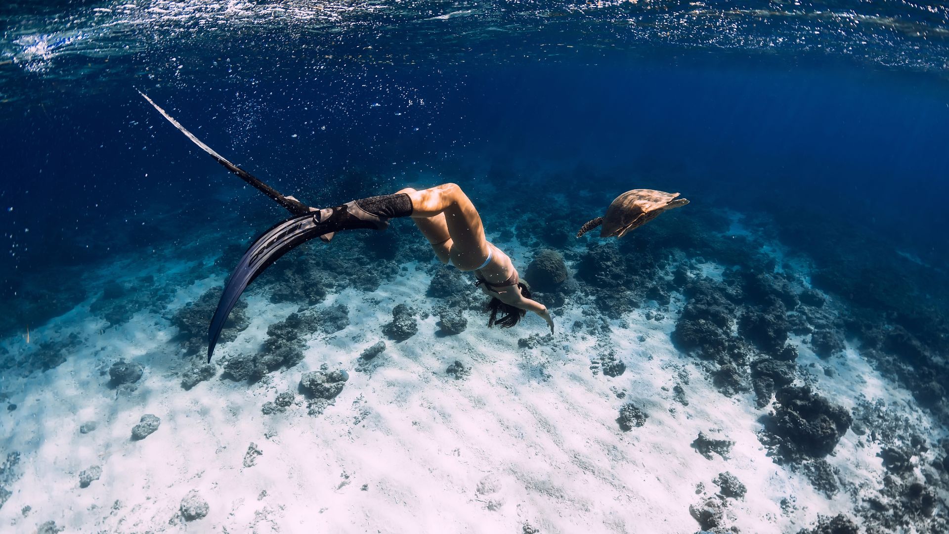 One Day Nusa Lembongan Snorkeling Trip Package view 1