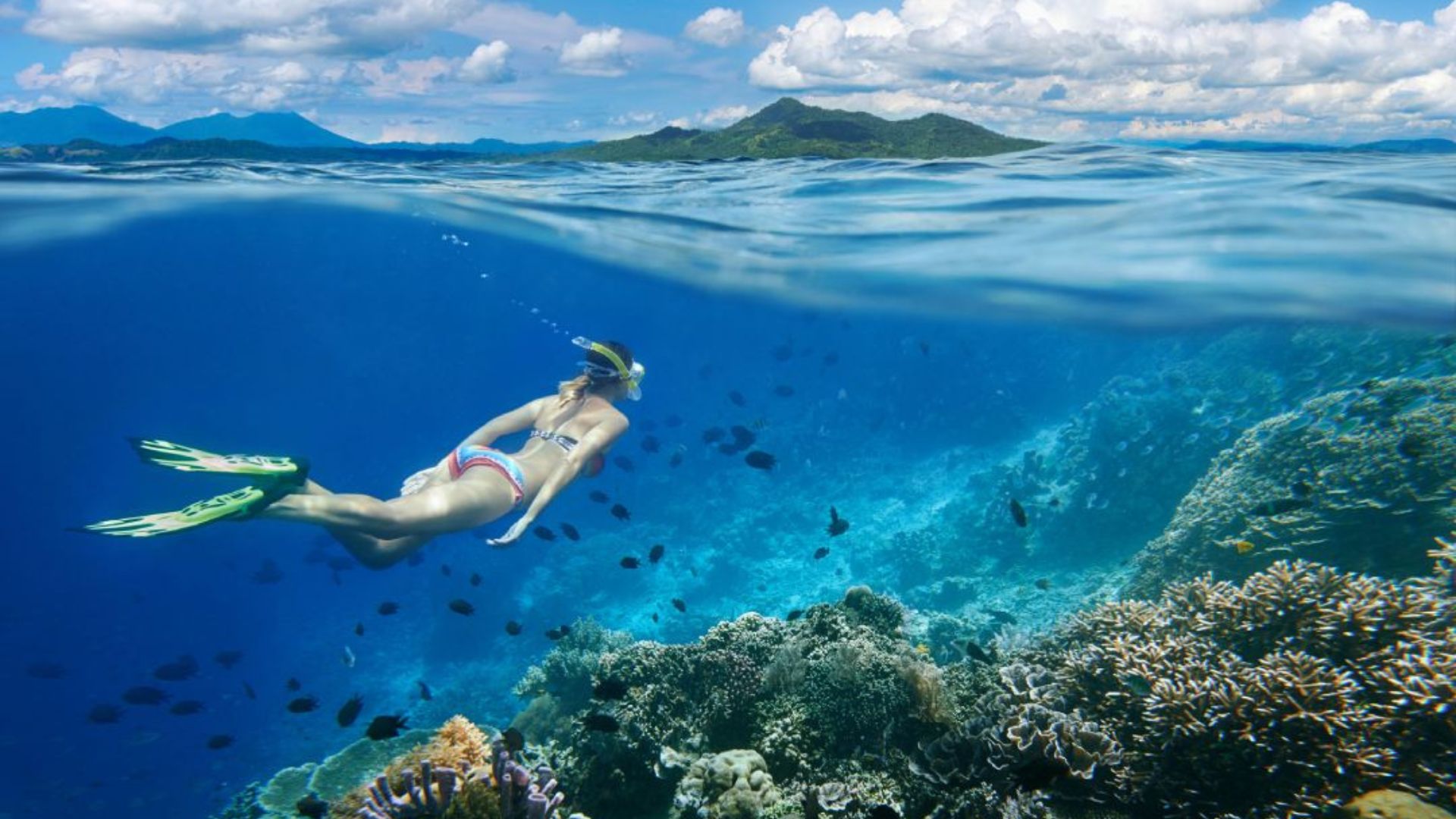 One Day Nusa Lembongan Snorkeling Trip Package view 3