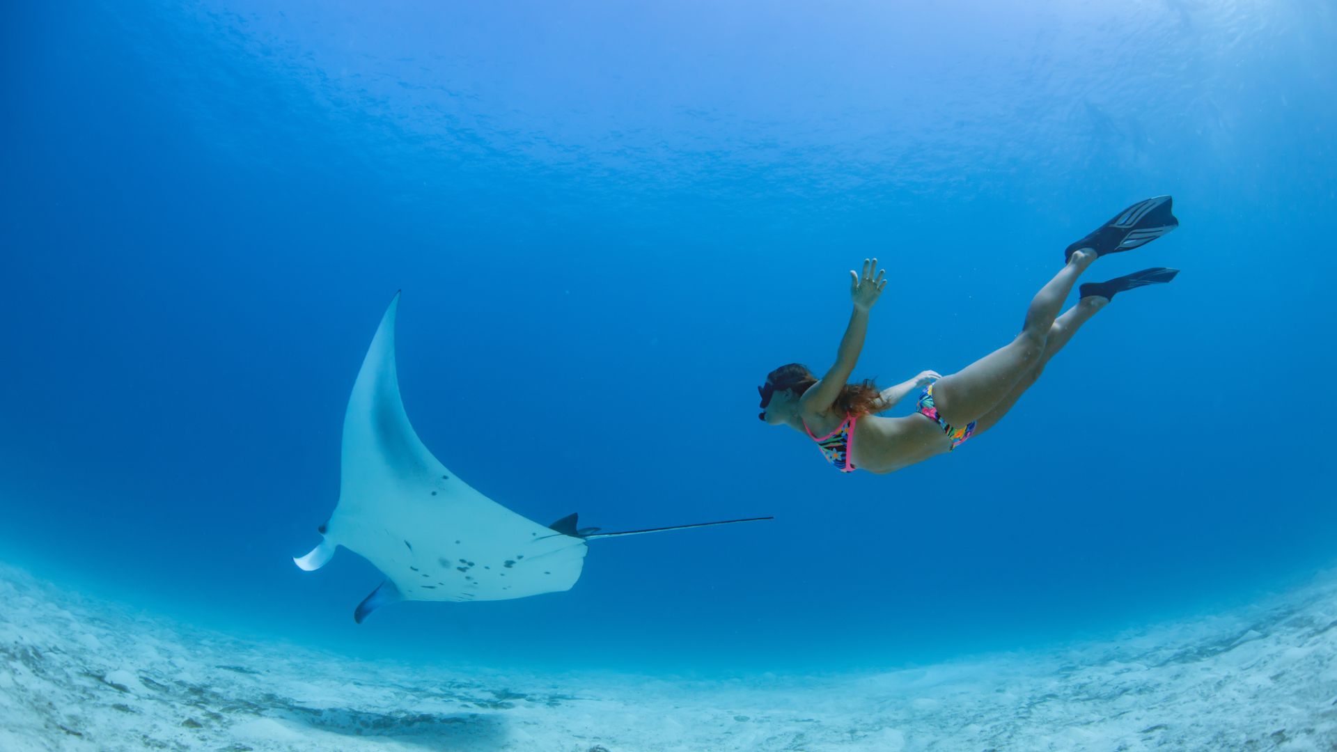 One Day Nusa Lembongan Snorkeling Trip Package view 4