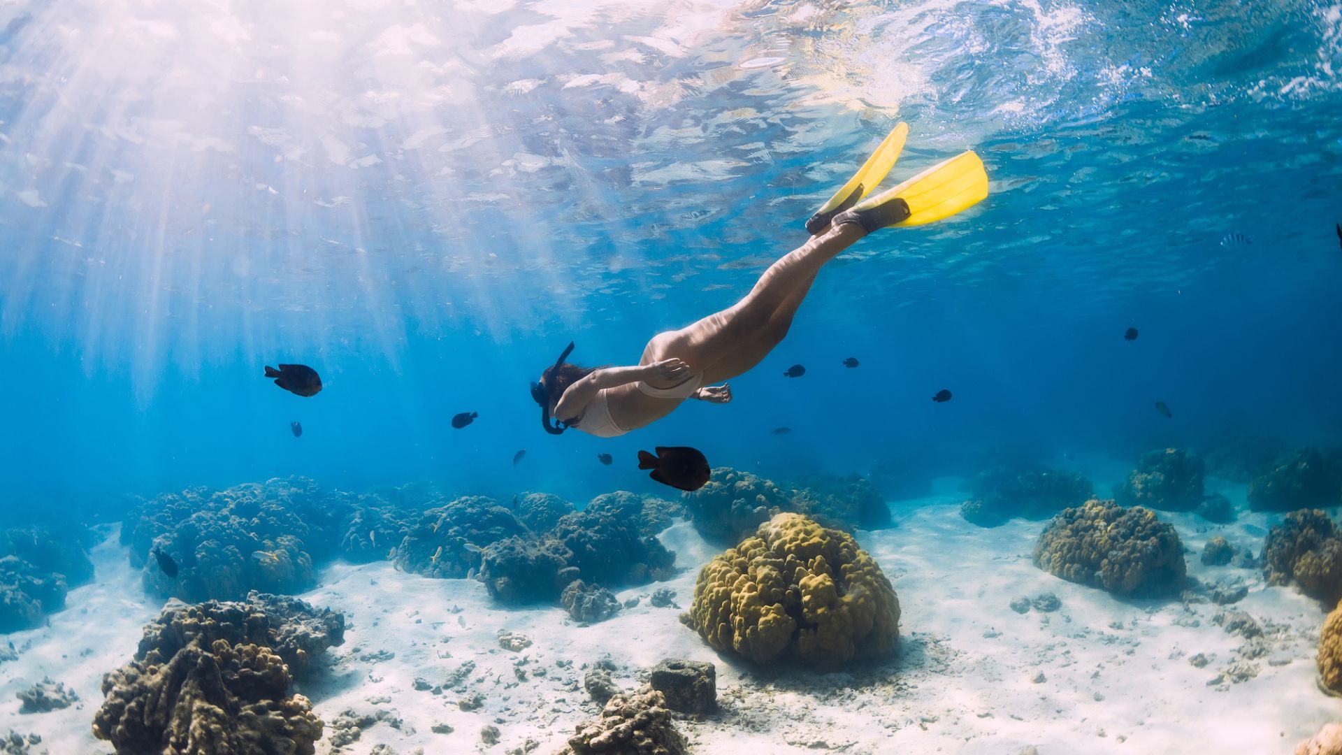 One Day Nusa Lembongan Snorkeling Trip Package