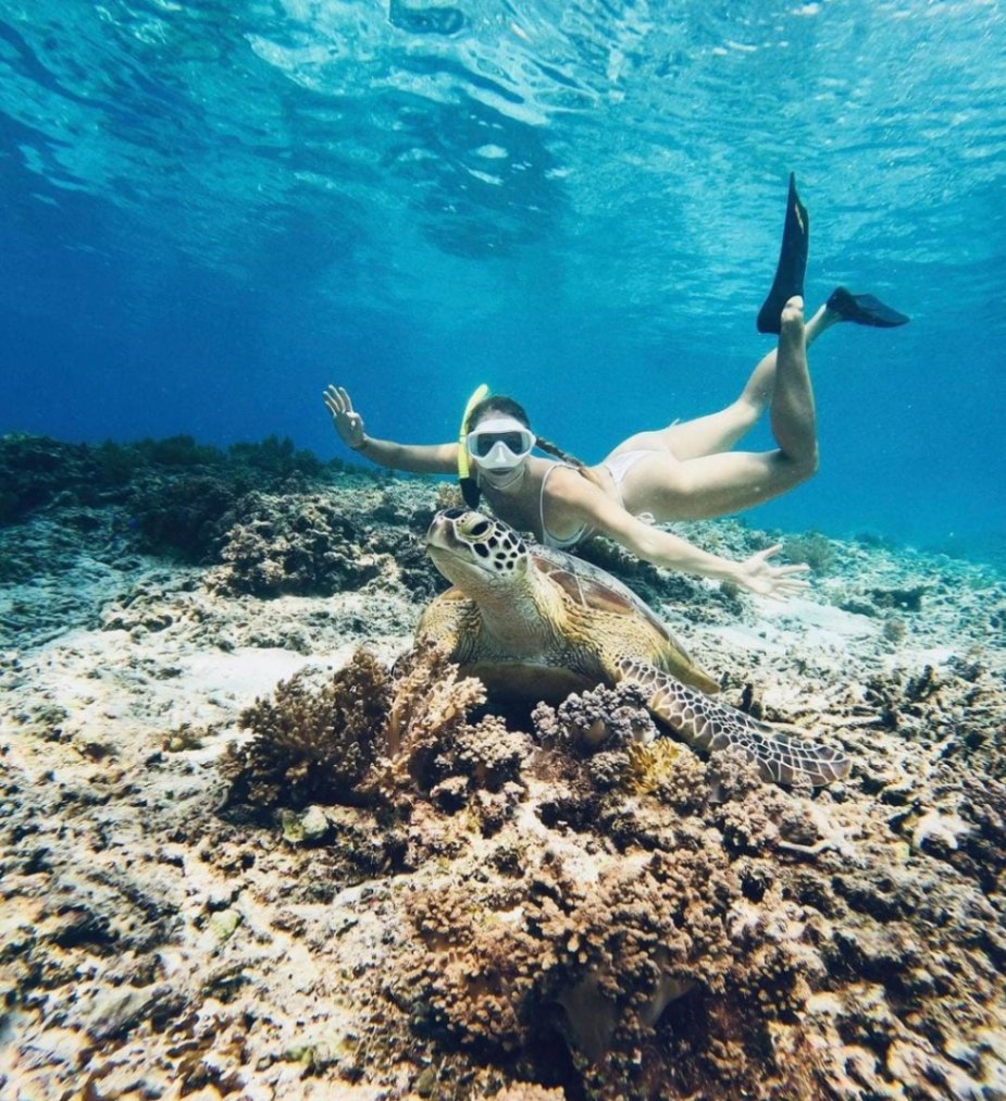Lombok : Private Snorkeling at 4 Gili Spots with GoPro Camera view 2