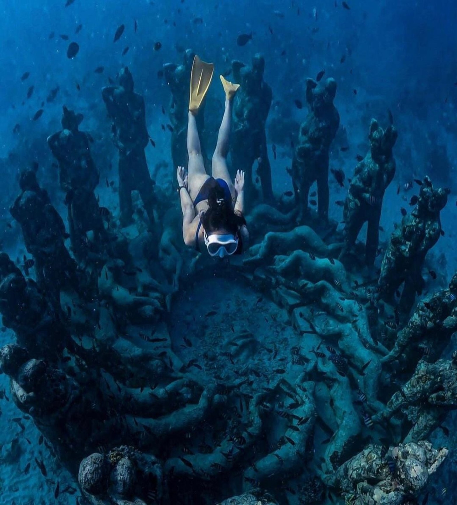Lombok : Private Snorkeling at 4 Gili Spots with GoPro Camera view 1