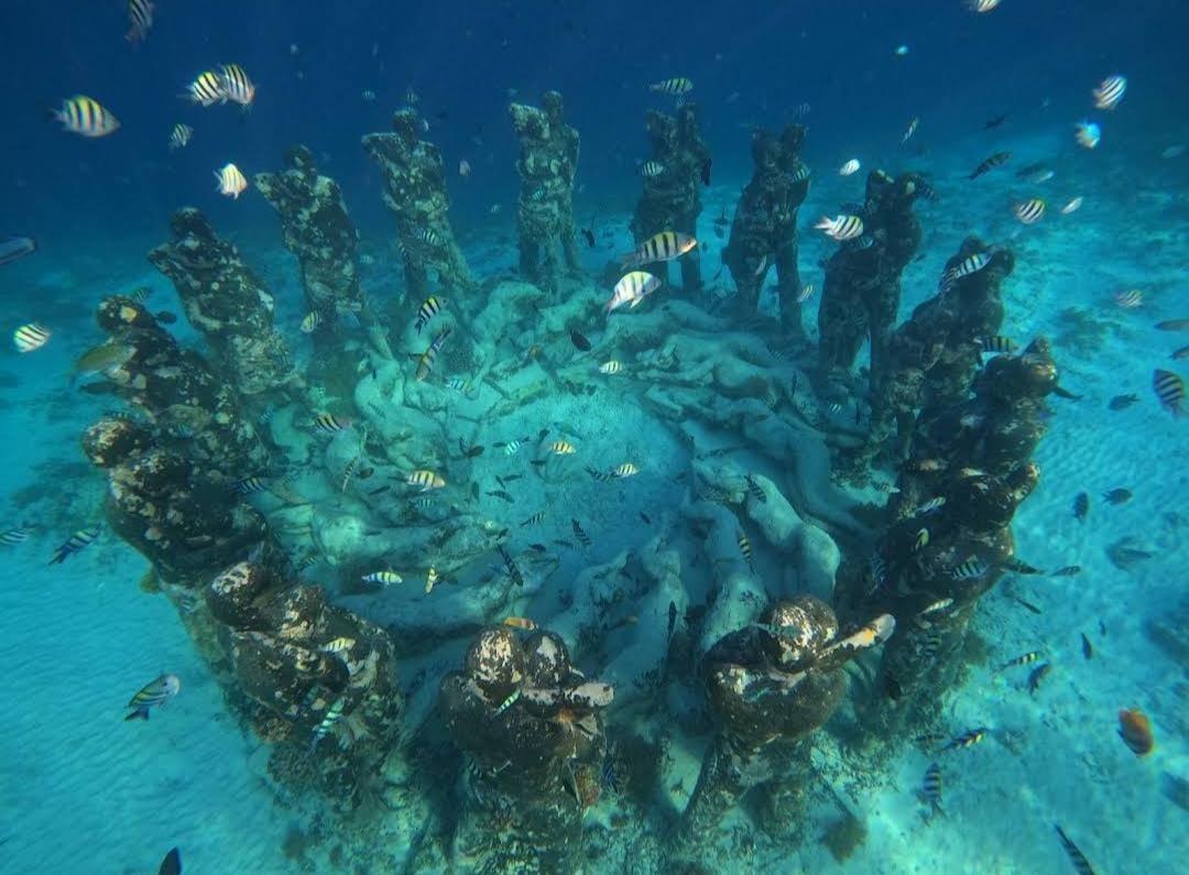 Lombok : Private Snorkeling at 4 Gili Spots with GoPro Camera view 5