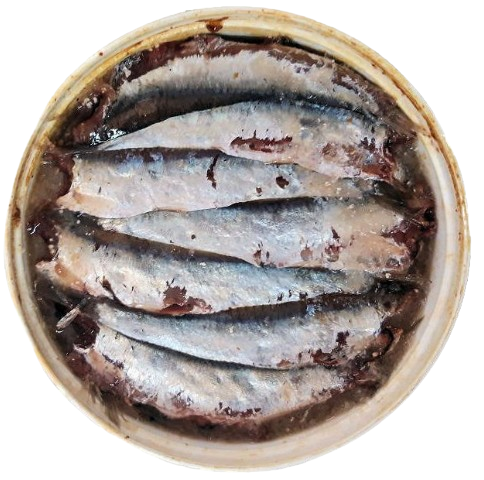 Acciughe sott'olio