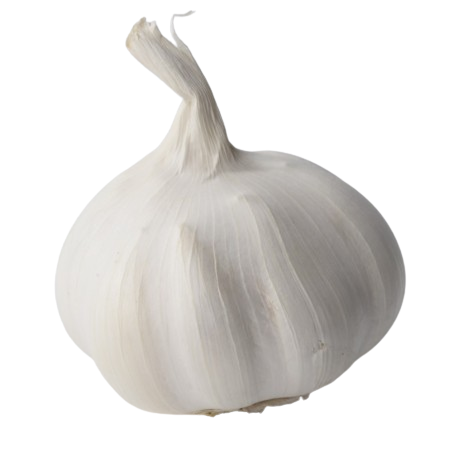 Aglio 