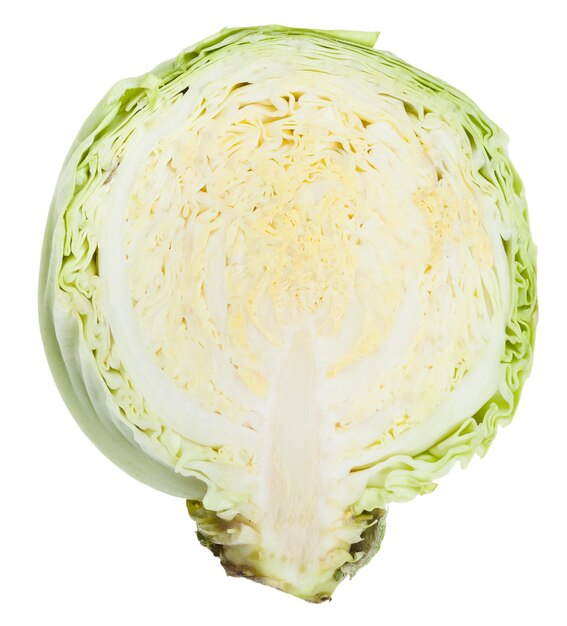 Cavolo cappuccio