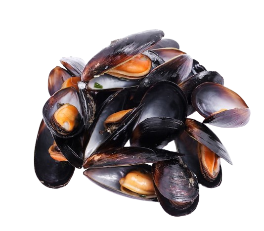 Cozze 