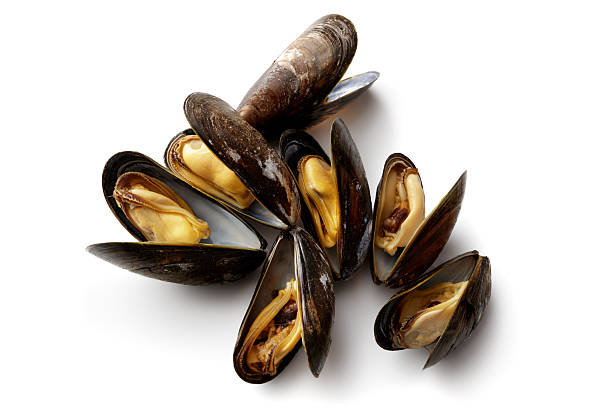 Cozze
