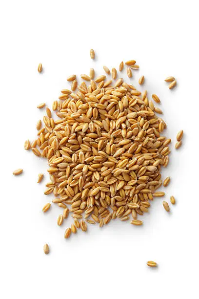 Farro