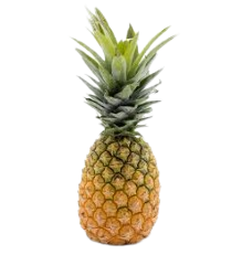Fetta di ananas