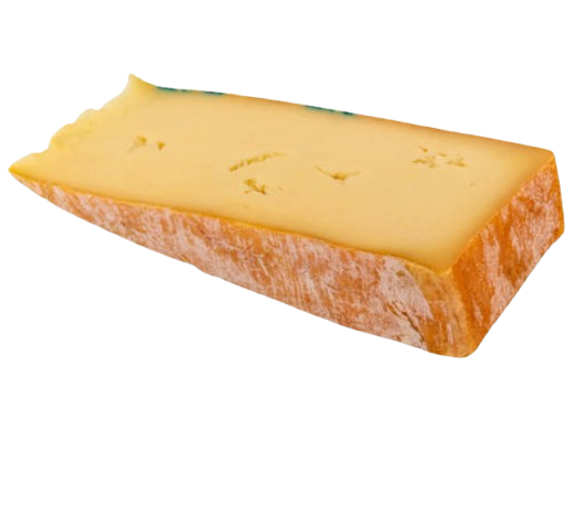 Fontina