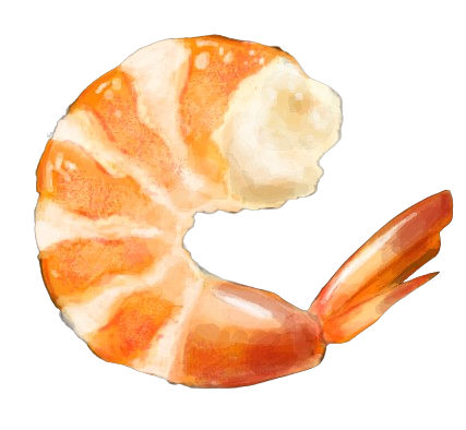 Gamberi