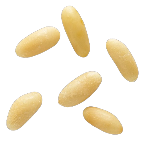 Pinoli