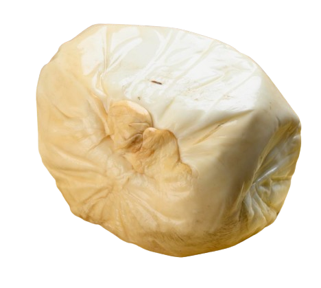 Provola 