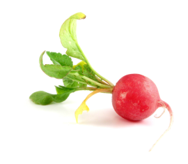 Rapanello